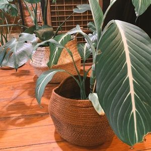 H&M HOME Jute Basket (2)